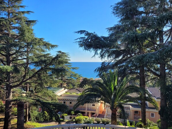 La VUE depuis le Séjour, ainsi que de la Chambre au Grand lit