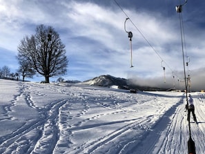 Abelhof