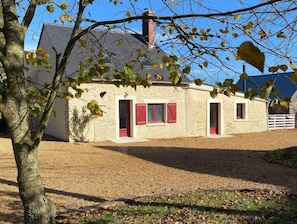 Exteriör