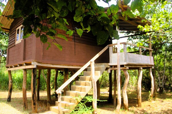 Entrance to the Cabin with Air Conditioning