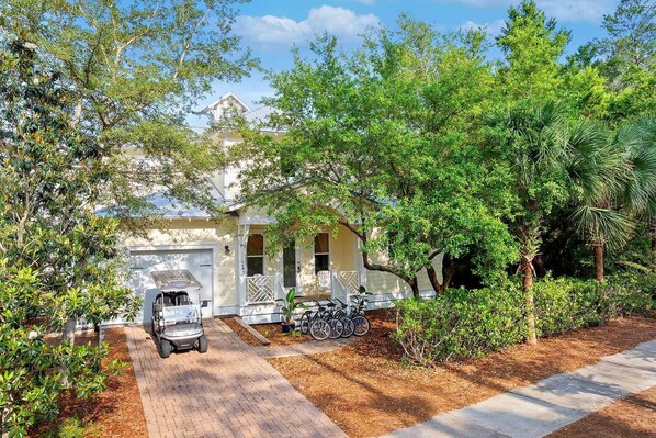 24-Lion-on-the-Beach-Seagrove-Beach