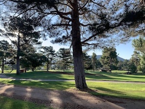 Your View of the Fairway of the Oak Creek Country Club