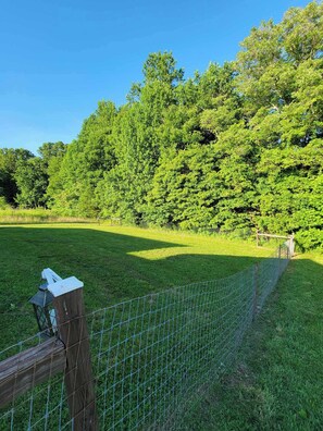 Fenced in back yard