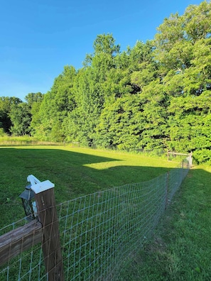 Fenced in back yard