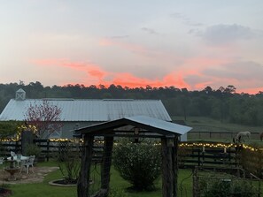 Rose garden adjacent the barn bunkhouse.