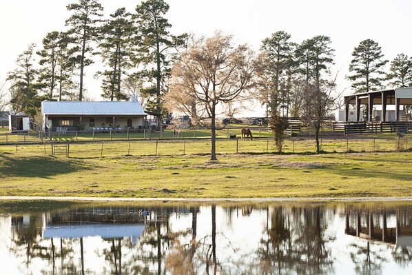 A relaxing respite...a view from the back of the ranch.