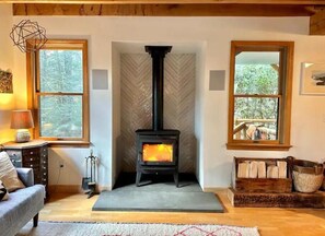 Wood burning stove