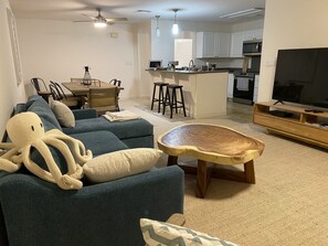 Living Room / Dining Area / Kitchen