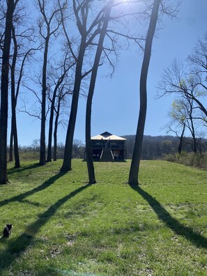 View looking up from the river