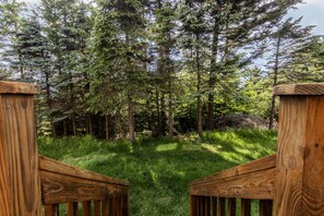 The view from the back stairs.