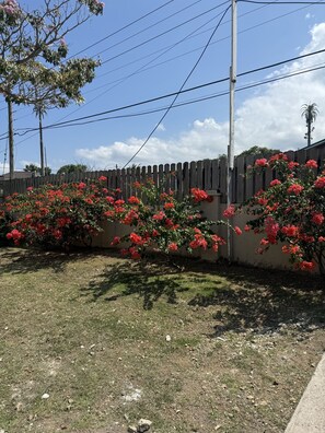 Jardines del alojamiento