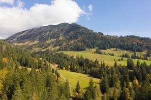 Scenery