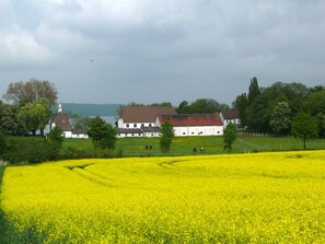 Eksteriør