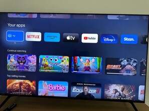 Television