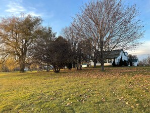 Spacious home & mature trees. So quiet & serene.