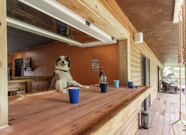 Open air bar/game room. Dog tender not included
