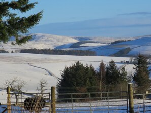 Snowy view from the Rowan Pod
