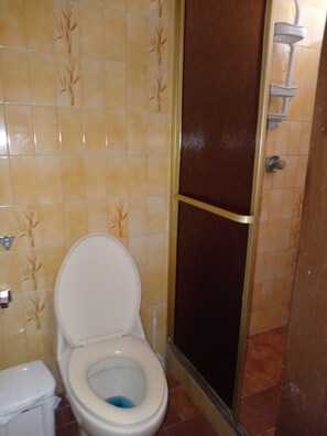 Habitacion principal con baño y vestier.