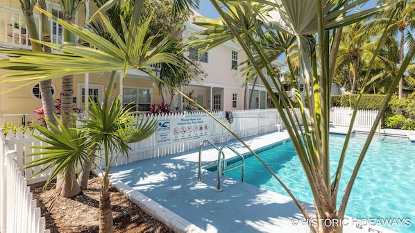 Poolside Palms