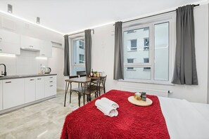 salon z aneksem kuchennym