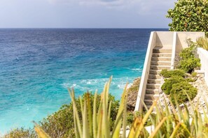 Ocean Front