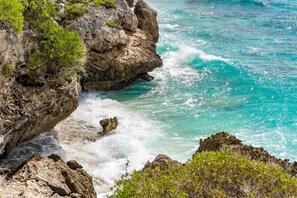 Ocean Front