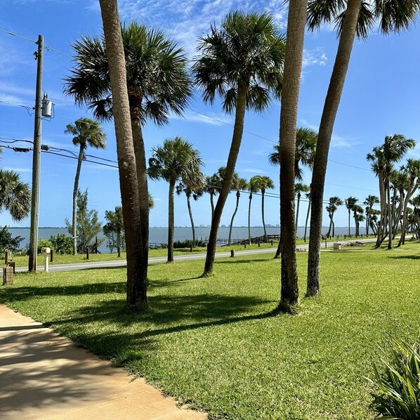 Front yard with private entry to waterway and driveway.