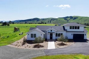 Natural landscaping and olive trees surround the house