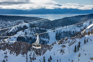 Tahoe Palisades
