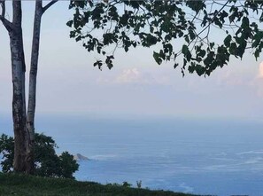 OCEAN VIEW