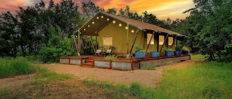 Safari Tent, nestled on 20 acres!