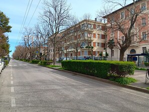 Plant, Building, Sky, Window, Property, Road Surface, Tree, House, Cloud, Urban Design