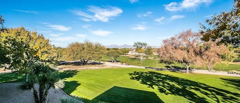 Patio and deck views