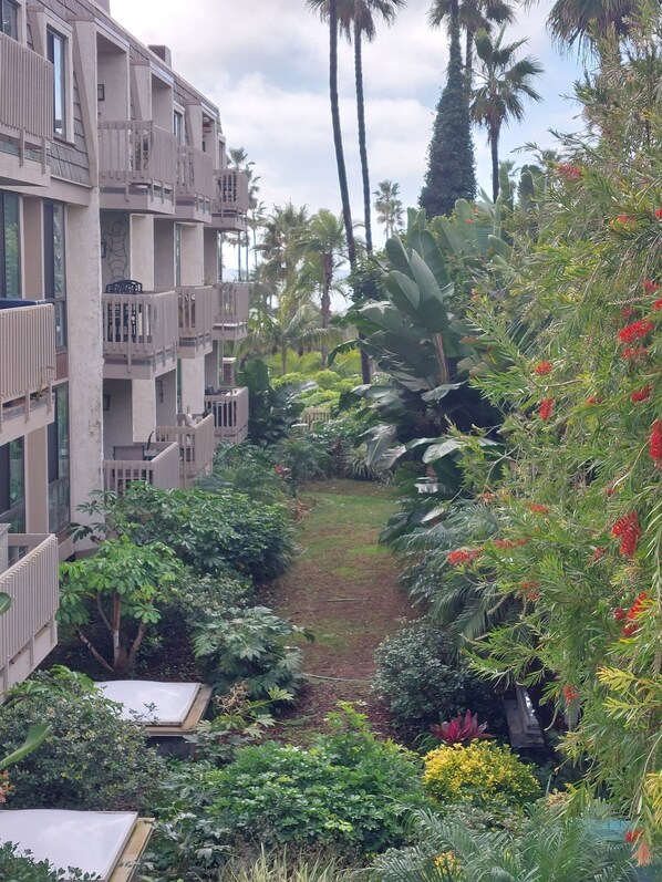 Balcony view