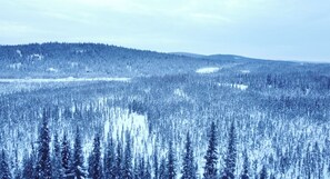 Drone view of the area above the cabin 