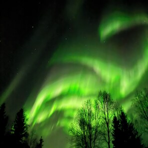 The northern lights