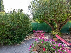 Plant, Flower, Plant Community, Botany, Petal, Tree, Natural Landscape, Vegetation, Shrub, Grass