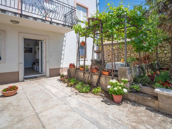 Plante, Bâtiment, Propriété, Pot De Fleur, Fleur, Surface De La Route, Ciel, Architecture, Plante D'Appartement, Porte