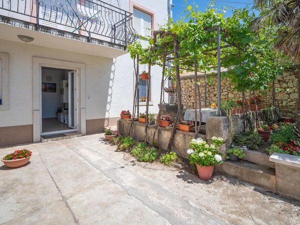 Plante, Bâtiment, Propriété, Pot De Fleur, Fleur, Surface De La Route, Ciel, Architecture, Plante D'Appartement, Porte