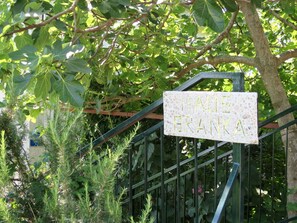 Botanique, Branche, Brindille, Plante, Terrestre Des Plantes, Arbre, Herbe, Couverture De Sol, Métal, Enseignes