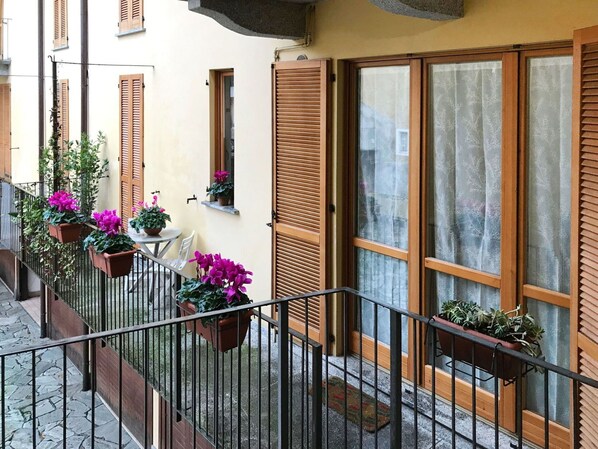 Blume, Pflanze, Gebäude, Eigentum, Blumentopf, Fenster, Zimmerpflanze, Tür, Holz