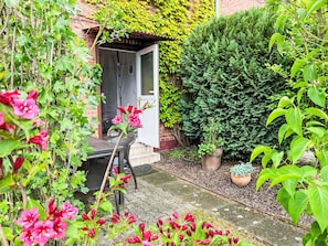 Vert, Feuille, Arbuste, Jardin, Pot De Fleur, Printemps, Couverture De Sol, Cour, Plante D'Appartement