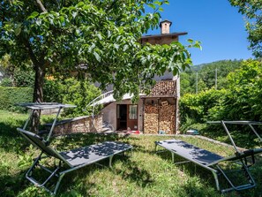 Plant, Furniture, Plant Community, Table, Building, Tree, Leaf, Botany, Outdoor Furniture, Shade