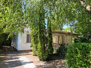 Feuille, Branche, Végétation, Arbuste, Ombre, Printemps, Tronc, Jardin, Suppression Des Plantes Ligneuses, LumiÚre Du Soleil