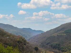 Cloud, Sky, Mountain, Ecoregion, Plant, Natural Environment, Natural Landscape, Tree, Atmospheric Phenomenon, Terrain