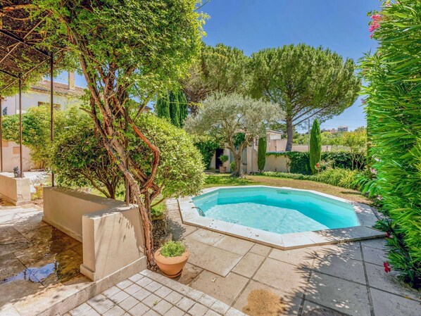 L'Eau, Plante, Propriété, Vert, Piscine, La Nature, Bleu Azur, Ciel, Arbre, Herbe