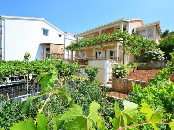Plant, Building, Sky, Window, Property, Plant Community, House, Tree, Vegetation, Land Lot