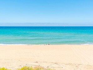 Water, Sky, Plant, Blue, Beach, Tree, Cloud, Horizon, Wind Wave