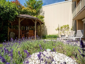 Flower, Shrub, Garden, Groundcover, Purple, Yard, Backyard, Landscaping, Chair, Shade