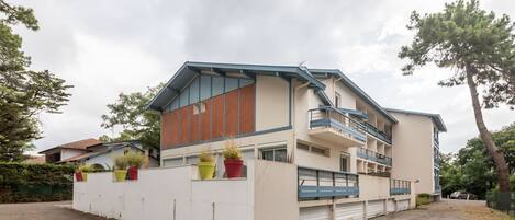 Plant, Furniture, Property, Window, Chair, Building, Wood, Lighting, Flowerpot, Architecture